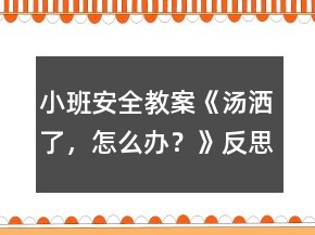 小班安全教案《湯灑了，怎么辦？》反思