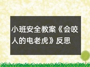 小班安全教案《會咬人的電老虎》反思