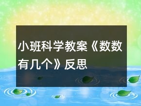 小班科學(xué)教案《數(shù)數(shù)有幾個》反思