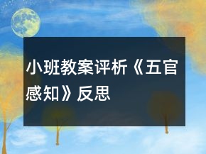 小班教案評析《五官感知》反思