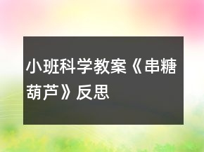 小班科學教案《串糖葫蘆》反思