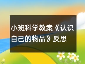 小班科學(xué)教案《認(rèn)識(shí)自己的物品》反思