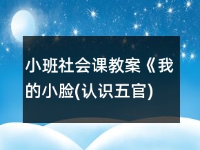 小班社會(huì)課教案《我的小臉(認(rèn)識(shí)五官)》反思