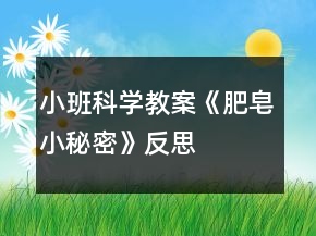 小班科學(xué)教案《肥皂小秘密》反思