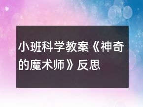 小班科學(xué)教案《神奇的魔術(shù)師》反思