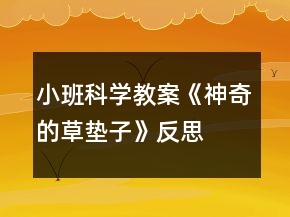 小班科學(xué)教案《神奇的草墊子》反思