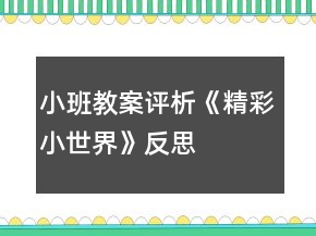 小班教案評(píng)析《精彩小世界》反思