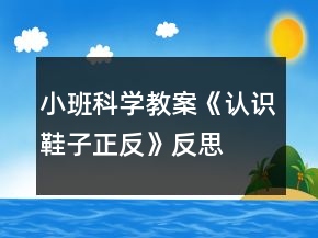 小班科學教案《認識鞋子正反》反思