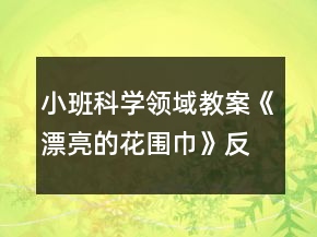 小班科學(xué)領(lǐng)域教案《漂亮的花圍巾》反思