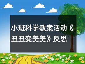 小班科學(xué)教案活動(dòng)《丑丑變美美》反思