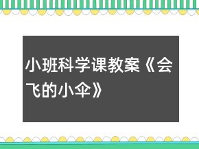 小班科學(xué)課教案《會飛的小傘》
