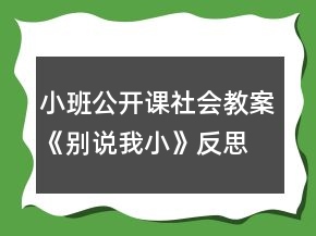 小班公開課社會教案《別說我小》反思