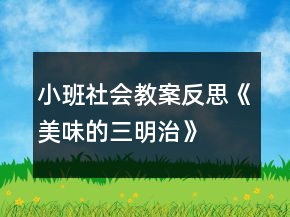 小班社會教案反思《美味的三明治》