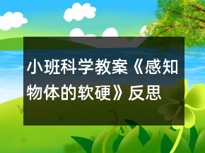 小班科學(xué)教案《感知物體的軟硬》反思