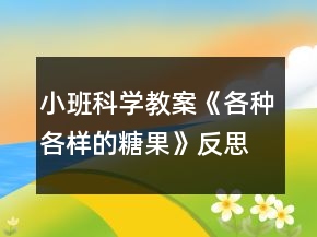 小班科學教案《各種各樣的糖果》反思