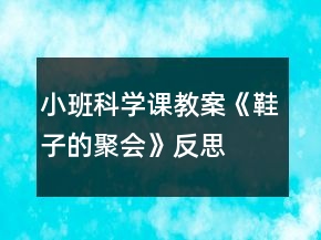 小班科學(xué)課教案《鞋子的聚會(huì)》反思