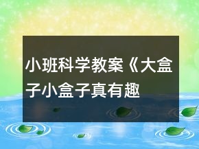 小班科學(xué)教案《大盒子、小盒子真有趣》反思