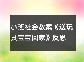 小班社會教案《送玩具寶寶回家》反思