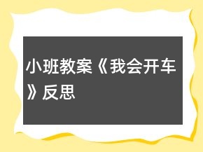 小班教案《我會開車》反思