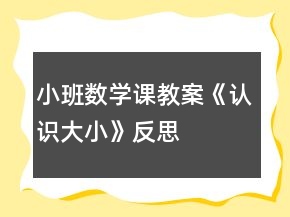 小班數(shù)學課教案《認識大小》反思