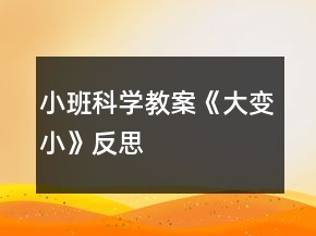 小班科學教案《大變小》反思