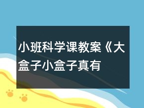 小班科學(xué)課教案《大盒子、小盒子真有趣》反思