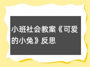 小班社會教案《可愛的小兔》反思