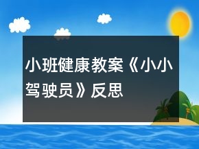 小班健康教案《小小駕駛員》反思