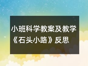 小班科學(xué)教案及教學(xué)《石頭小路》反思