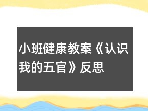 小班健康教案《認識我的五官》反思