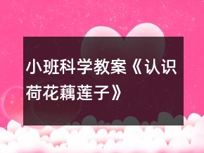 小班科學(xué)教案《認(rèn)識(shí)荷花、藕、蓮子》反思