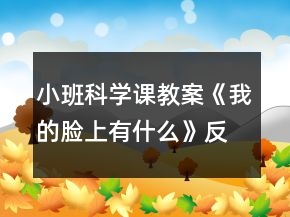 小班科學課教案《我的臉上有什么》反思