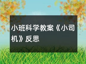 小班科學(xué)教案《小司機(jī)》反思
