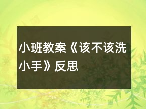 小班教案《該不該洗小手》反思