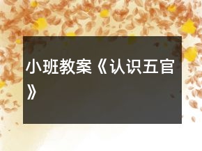 小班教案《認識五官》