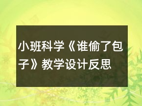 小班科學(xué)《誰(shuí)偷了包子》教學(xué)設(shè)計(jì)反思
