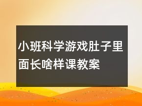 小班科學(xué)游戲：肚子里面長(zhǎng)啥樣課教案