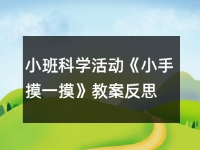 小班科學(xué)活動(dòng)《小手摸一摸》教案反思