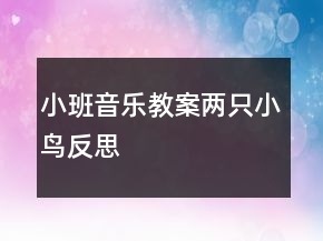 小班音樂教案：兩只小鳥反思