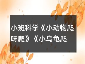 小班科學(xué)《小動物爬呀爬》《小烏龜爬呀爬》教案反思