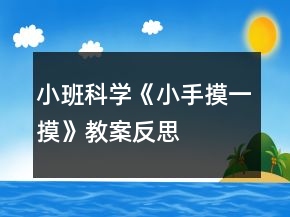 小班科學(xué)《小手摸一摸》教案反思
