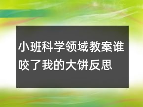 小班科學(xué)領(lǐng)域教案：誰(shuí)咬了我的大餅反思