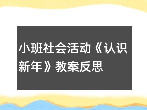 小班社會活動《認識新年》教案反思