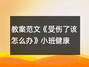 教案范文《受傷了該怎么辦》小班健康活動反思