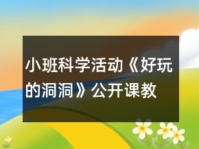 小班科學活動《好玩的洞洞》公開課教學教案反思