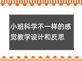 小班科學(xué)：不一樣的感覺教學(xué)設(shè)計(jì)和反思
