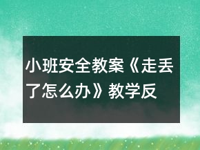 小班安全教案《走丟了怎么辦》教學(xué)反思
