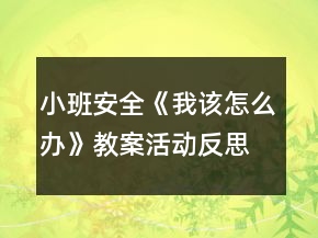 小班安全《我該怎么辦》教案活動(dòng)反思