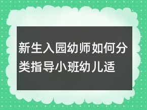 新生入園幼師如何分類指導(dǎo)小班幼兒適應(yīng)新環(huán)境？