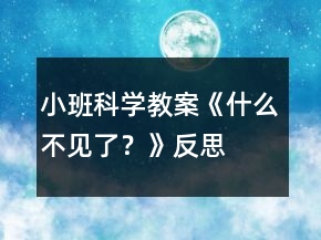 小班科學(xué)教案《什么不見了？》反思